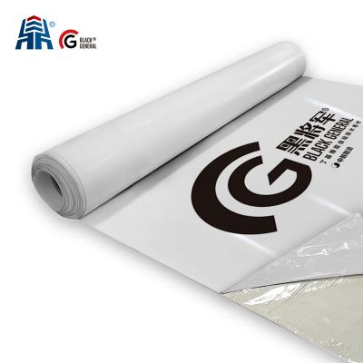 BG-T 丁基橡膠TPO自粘防水卷材